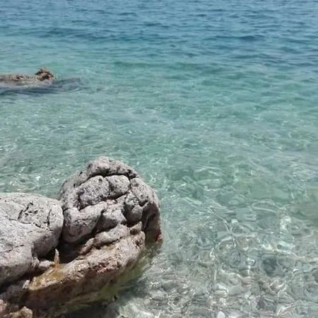 Mare * Rasa